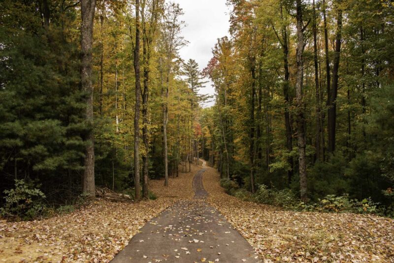 The Ramble Biltmore Forest Fall Color