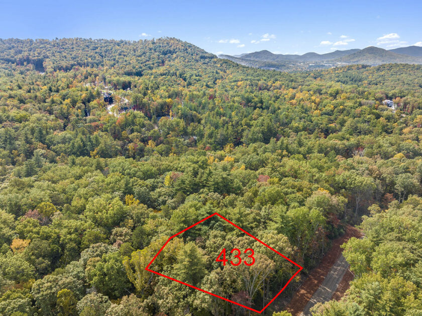 Biltmore Forest Real Estate for Sale The Ramble Biltmore Forest